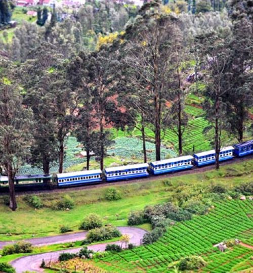 TOY TRAIN OOTY